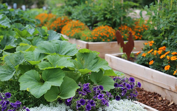 Create Monocultures | Barefoot Garden Design