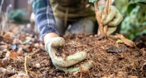 Man checking soil texture | Barefoot Garden Design