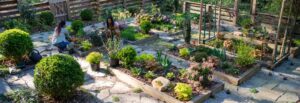 Garden layout design | Barefoot Garden Design