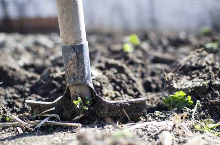 shovel on soil | Barefoot Garden Design