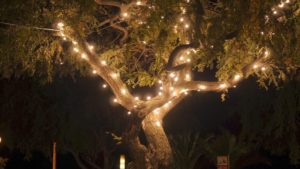 Eco friendly lighting | Barefoot Garden Design