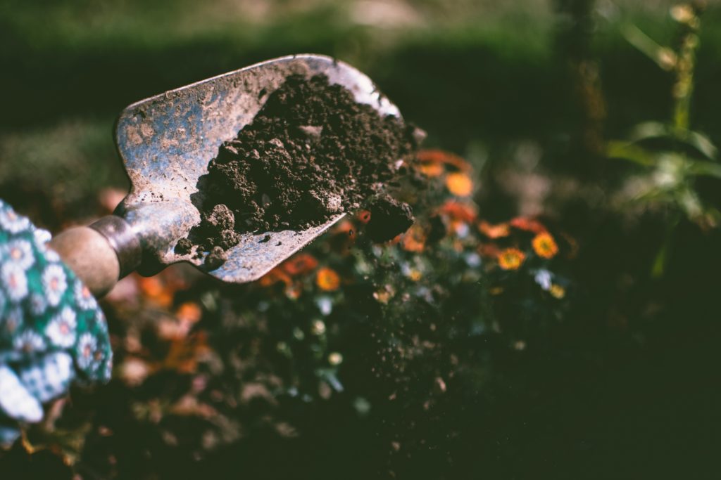 Taking care of your soil is one of the best tasks to prepare your garden for fall