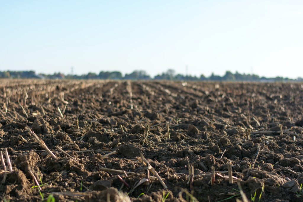 Soil in a cultivated field